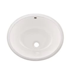 DAX Ceramic Oval Single Bowl Undermount Bathroom Sink, Ivory Finish, 18-1/16 X 15-13/16 X 8-3/16 Inches (BSN-101)