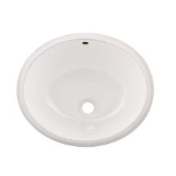 DAX Ceramic Oval Single Bowl Undermount Bathroom Sink, White Finish, 19-1/2 X 16 X 8 Inches (BSN-200)
