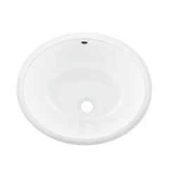 DAX Ceramic Oval Single Bowl Undermount Bathroom Sink, White Finish, 18-1/16 X 15-13/16 X 8-3/16 Inches (BSN-100)