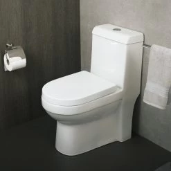 DAX One Piece Square Toilet With Soft Closing Seat And Dual Flush High-Efficiency, Porcelain, White Finish, Height 30-3/4 Inches (BSN-43A) -Bathroom Shop 02 0683b02c 9e71 4fe1 9f7f 98cc4eeeed37
