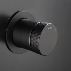 DAX Round Shower Valve With 1 Functions Matte Black Finish (DAX-13565-BL)