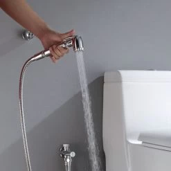 DAX Hand Shower Set, Wall Mount With Hose And Valve, Brass Body, Chrome Finish (DAX-9317C)