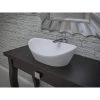 Luna Aquatex Oval Vessel Lavatory Sink