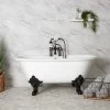 Napoleon Cast Iron Double Ended Clawfoot Tub - Monarch Feet